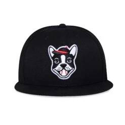 Boston Terrier Cap (Bow Wow Collection)-4755837222982