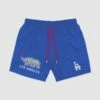 Cali Bear Trunks - Los Angeles Dodgers-7157686501446 -Baseball Equipment Store baseballism mlb cali bear swim trunks dodgers 001